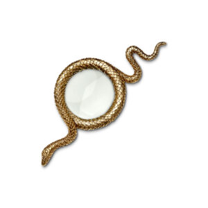Snake Magnifying Glass
